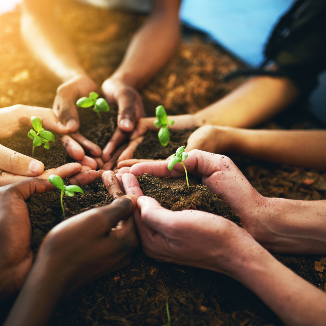 Environmental Strategy Consultant